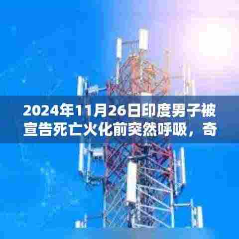运输网络 第371页