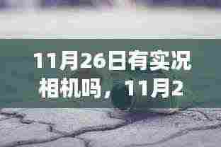 11月26日实况相机记录生活变迁，自信与成就感的成长之旅