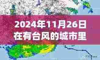 运输网络 第369页