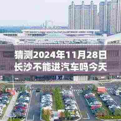 运输网络 第362页