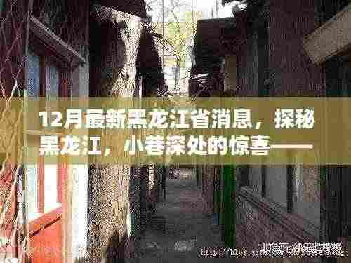 探秘黑龙江，十二月最新消息揭秘小巷深处的美味小店