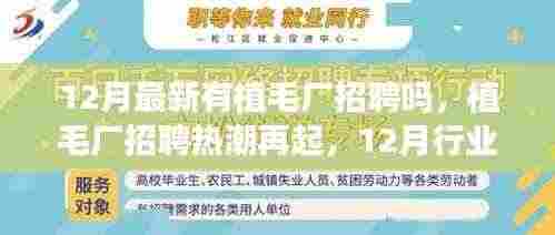 植毛厂招聘热潮再现，行业洞察与前景展望（12月最新招聘信息）