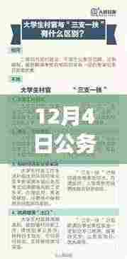 最新解读，12月4日公务员参考目录重点概览与最新资讯