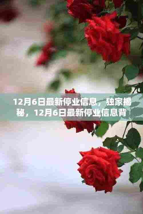 独家揭秘，揭秘最新停业信息背后的商业动态与行业趋势分析（12月6日更新）