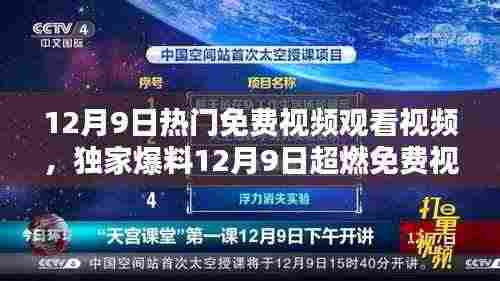 囊萤映雪 第6页