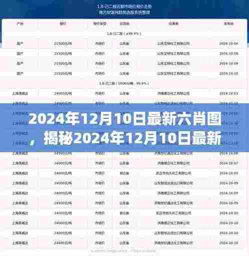 威风凛凛 第5页