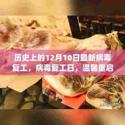 病毒复工日，十二月十日的历史回顾与温馨重启