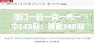 澳门一码一肖一恃一中348期：预言348期，解码财富预测术