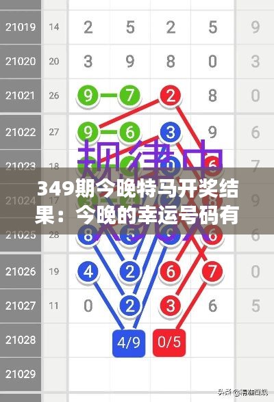 349期今晚特马开奖结果：今晚的幸运号码有哪些？