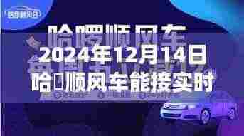 哈啰顺风车未来能否接实时单，2024年预测与探讨