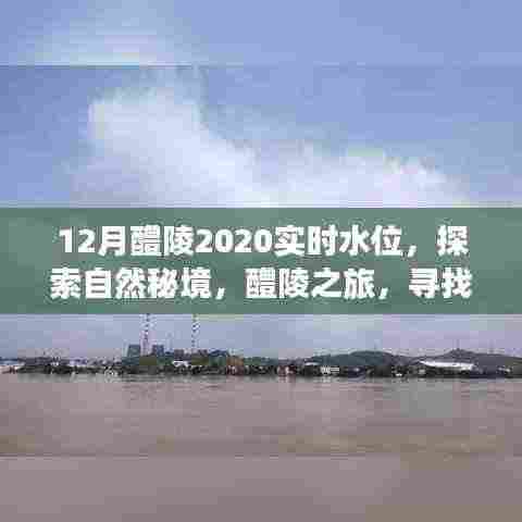 水浄鹅飞 第6页