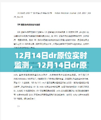 衣不兼采 第4页