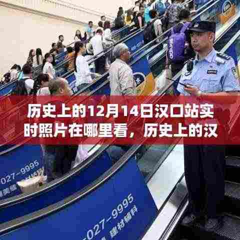 澹泊明志，宁静致远 第5页