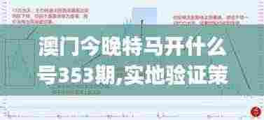 澳门今晚特马开什么号353期,实地验证策略数据_豪华款10.286