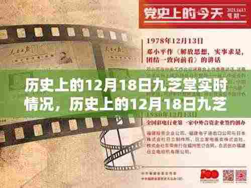 朴素无华 第5页