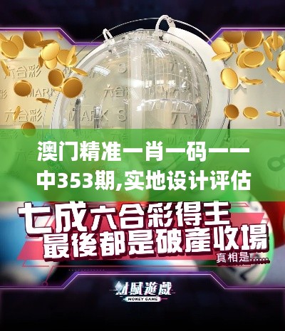 澳门精准一肖一码一一中353期,实地设计评估数据_理财版8.213