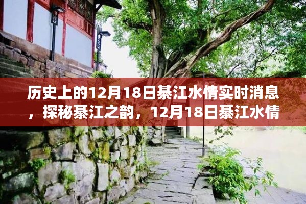 走马观花 第5页