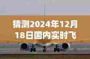揭秘未来航线，预测2024年12月18日国内飞机航线卫星图，展现自信与成就之光
