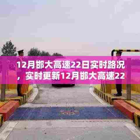 乌鸟私情 第5页