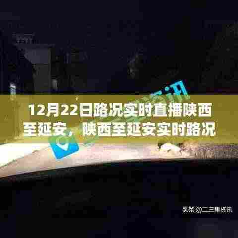 鸟为食亡 第4页