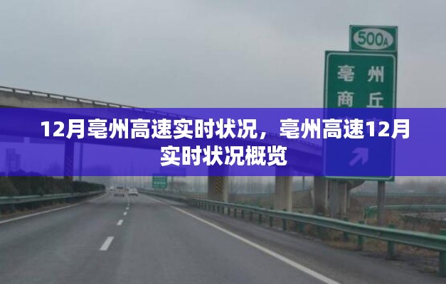 飞珠迸玉 第4页