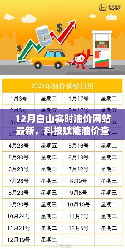金石为开 第5页