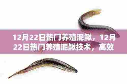 意气风发