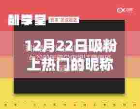 有张没智 第4页