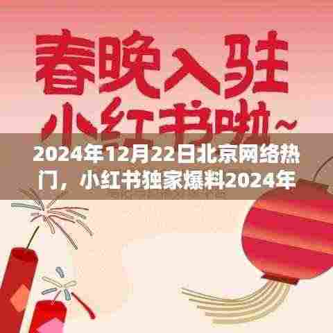 小红书独家爆料，揭秘2024年12月22日北京网络热潮大揭秘