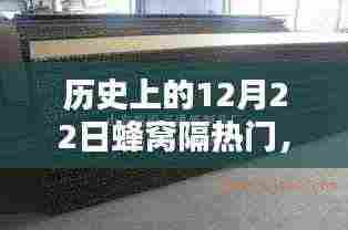 革命性科技产品蜂窝隔热门，颠覆认知的极致体验历程回顾