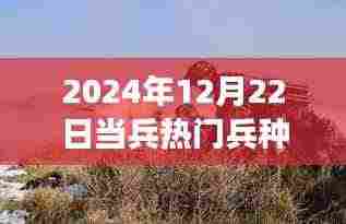 揭秘未来热门兵种，2024年当兵热门选择展望