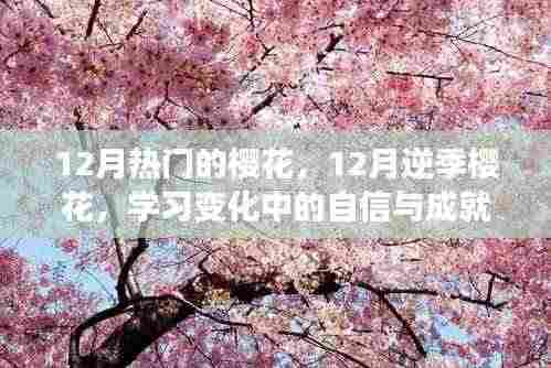 展翅高飞 第5页