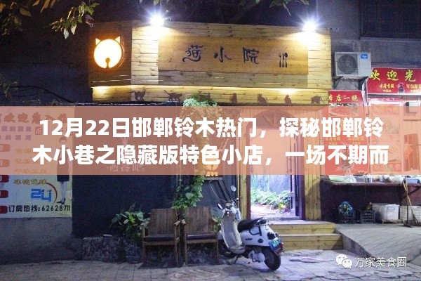 探秘邯郸铃木小巷隐藏版特色小店，美食冒险之旅开启！