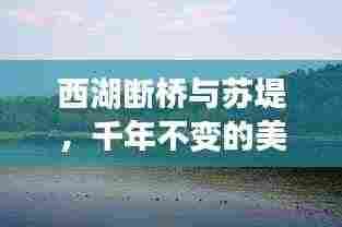 西湖断桥与苏堤，千年不变的美景魅力不减