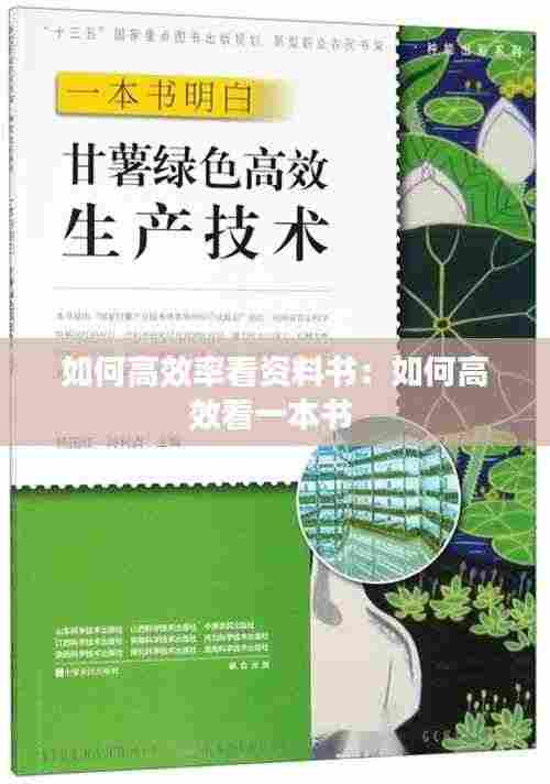 如何高效率看资料书：如何高效看一本书 