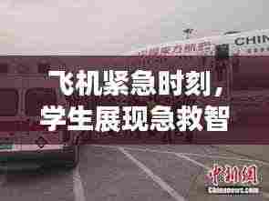 怀真抱素 第4页