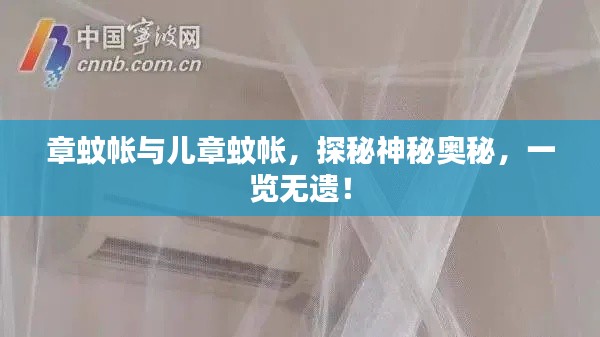 仪表堂堂 第4页