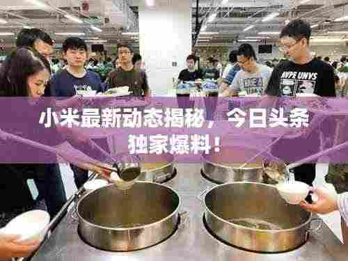 小米最新动态揭秘，今日头条独家爆料！