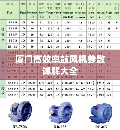 漫天飞舞 第4页