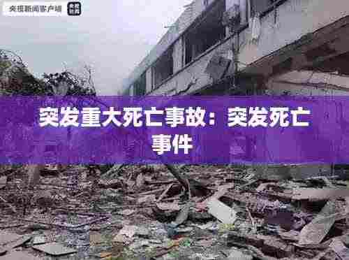 突发重大死亡事故：突发死亡事件 