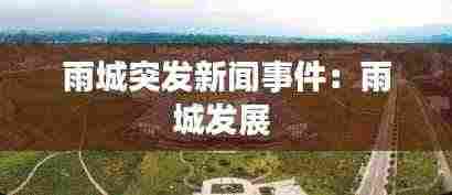 喜气洋洋 第4页