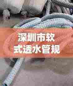 还淳反素 第4页