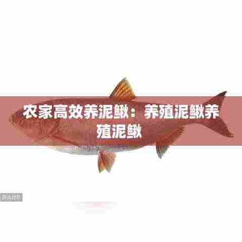 炊粱跨卫 第4页