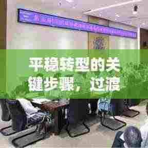 平稳转型的关键步骤，过渡期内严格落实执行策略