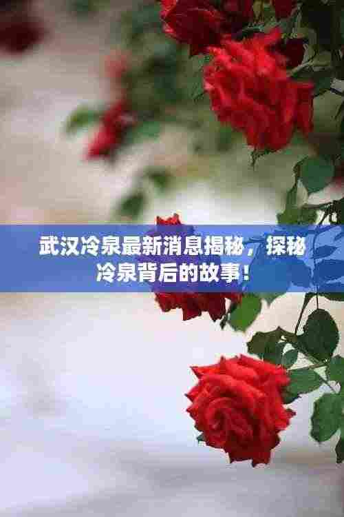 武汉冷泉最新消息揭秘，探秘冷泉背后的故事！