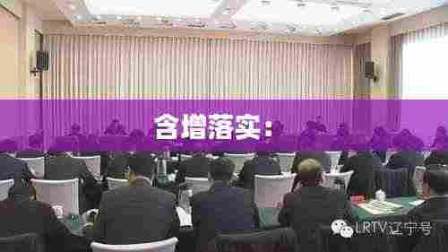 含增落实： 