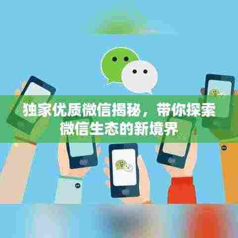独家优质微信揭秘，带你探索微信生态的新境界