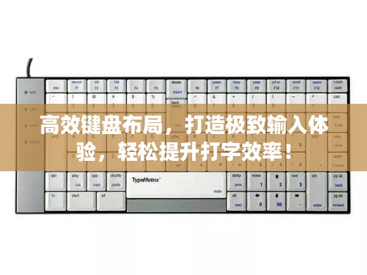 死得其所 第4页