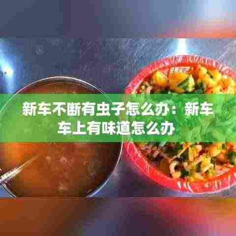 新车不断有虫子怎么办：新车车上有味道怎么办 