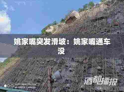 笔走如飞 第4页